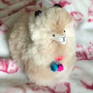 Meet your Posher, Francesca